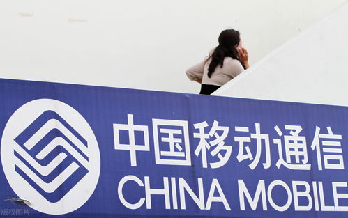 2022年 中國(guó)移動(dòng)及員工在信息咨詢(xún)服務(wù)領(lǐng)域的機(jī)遇與展望